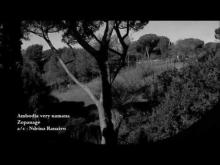 Embedded thumbnail for Ambodia very namana