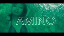 Embedded thumbnail for Amino