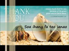 Embedded thumbnail for Soa ihany
