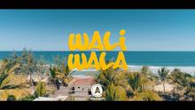 Embedded thumbnail for Waliwala