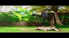 Embedded thumbnail for Izio anao navy