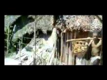 Embedded thumbnail for Miraigna